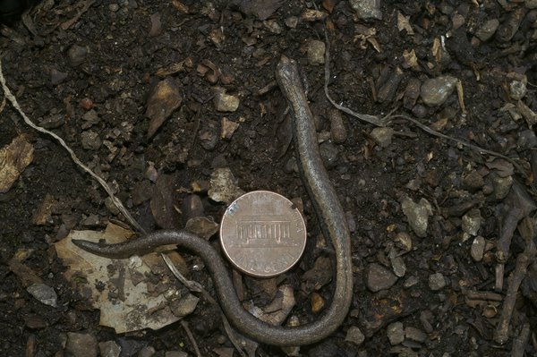 M.2 vs SATA : le duel des SSD